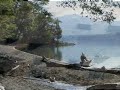 Baladas Pegaditas de los 70s - El Salvador