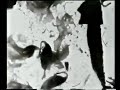Mothlight 2