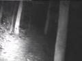 Downhill night head cam Willingham northshore