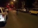 Brooklyn Blue Bullies (Obedience/Search 101) 