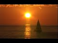 BALLENA AZUL