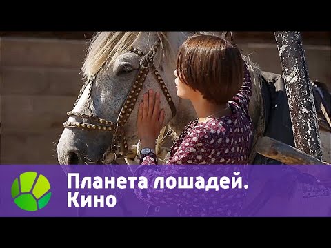 Планета лошадей. Кино