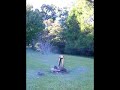 Fall Break Rocket Motor Test
