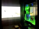 Soundsteuerung, Sound to light