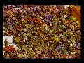 Mundial Argentina`78