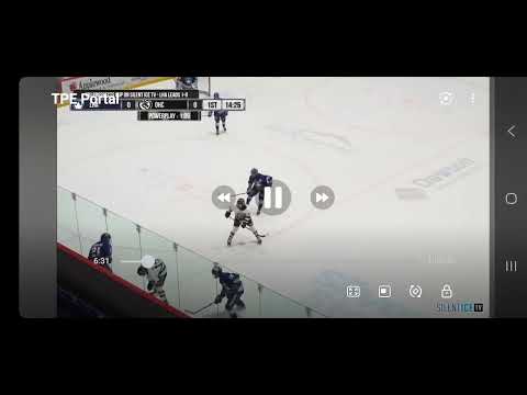 Langley vs warriors game 2 playoffs 2024/25