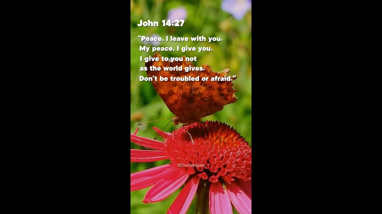 Sample Tiktok Video 1