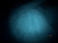 Invasion Alienigena