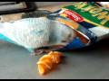 videos de Timmie & Tommie 031