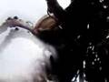 videos de Liverpool La Machine Spider in Lord Street