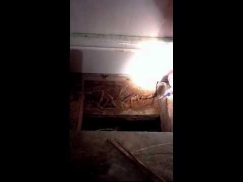 how to treat wet rot