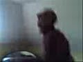 SZALONY FRYZJER\"WENTYL\" Z BOLES?AWCA