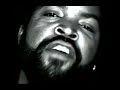 Ice Cube - Don't Make Me Hurt Your Feelings