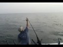 more samon fishing