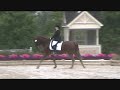 Robyn Weston 4th level freestyle- USDF Region 2 Championships 2009