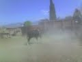 Ganaderia cuisillos (cala4).3gp Ganaderia cuisillos (cala4).3gp
