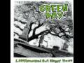 1039, Smoothed Out Slappy Hours by Green Day.wmv