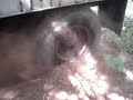 international stuck
