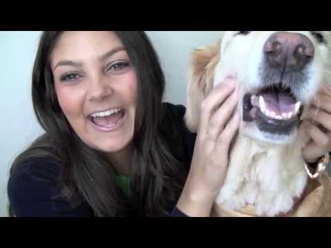 how to patch lululemon pants