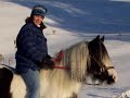 Gypsy Horses of Horseshoe Ranch Gypsy Cobs