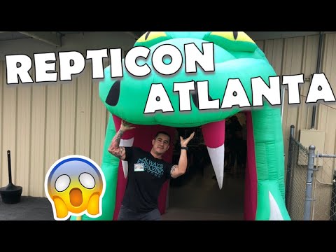 YouTube reptile video