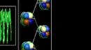 Cromosomas y el ADN