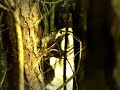 BARTH \"CUCHILLO\" - TRAILER 1 (DIR. F. LEROY)