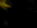 Otra vez noches informales ocn veronica lozano