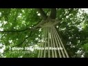 Biennale del paesaggio - gli eventi del 2008