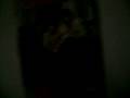 videos de jonas sisters