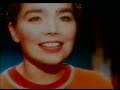 Bjork 
