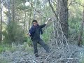 la hoguerita