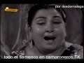 la perla de cadiz entrevista y seguiriyas la perla de cadiz entrevista y seguiriyas