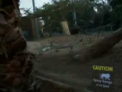 zookat - me and abby went to the zoo (: abby is funny as hell. hahahahhahahaha kat is ZIMBABWE fanatic. (: haha latuhhz.
