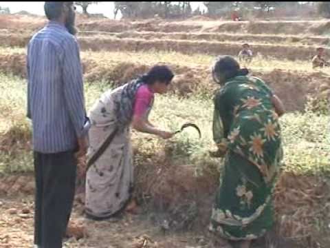 Access to Markets for the Poor, Landless and Women