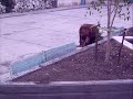 fotos de las calles de la presa mpo de alvaro obregon mich 