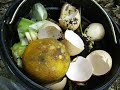 Como hacer compostera y abono organico en 14-21 dias