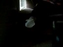 FUNNY ASS SHYT JUST WATCH MAN FOOT ON FIRE