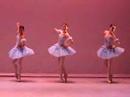 SCGSAH Paquita