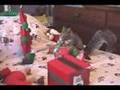 Sammy The Squirrel: Christmastime 2007