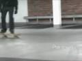 declan trickipedia pop shuvit