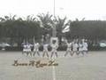 Brown A Rose Zen Cover SNSD Girls' Generation