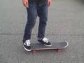 how to tre flip