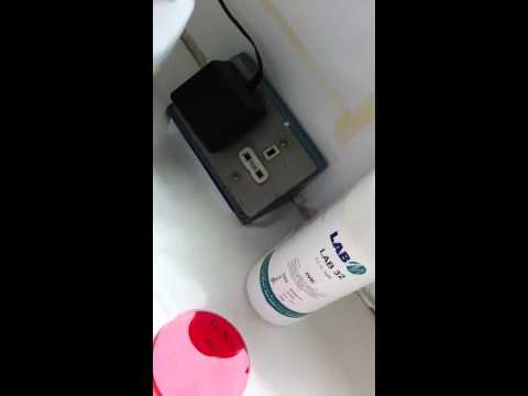 how to isolate salmonella from eggs