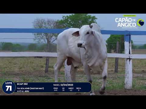 9 De Olho na Fazenda Capo do Angico