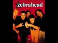 Zebrahead - Rated U For Ugly