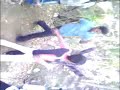 Jaiveera Pathy Birthday