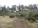 whipp