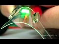 Organic Light Emitting Diodes