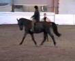 videos de Oletrening